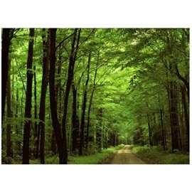 ILJILU Deep in The Forest Thick Green Vegetation Tree Nature Mouse Pad Mat