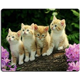 Kitten Flower Cute Funny Group Cat Animal Pet Mouse Pads Customized Made to Order Support Ready 9 7/8 Inch (250mm) X 7 7/8 Inch (200mm) X 1/16 Inch (2